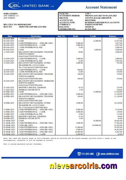 Pakistan UBL bank statement Word and PDF